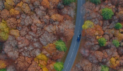 Car follow in a forest