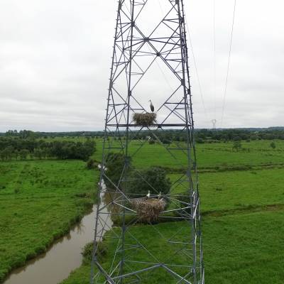 Prise de vue par drone d'un Nid de cigognes sur un pylone électrique, Loire